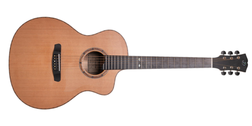 Dowina Guitar Chardonay-GAc-2