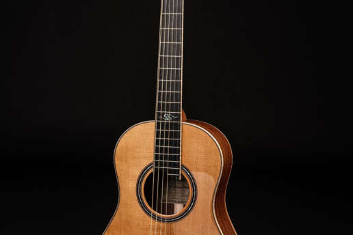 Dowina Guitar Granadilo T-BV-5