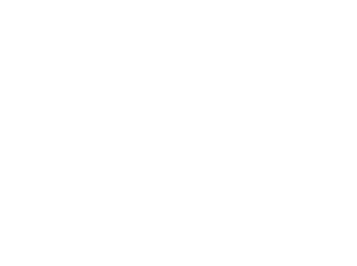 furch guitars logo
